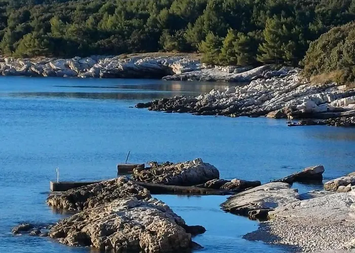 Daire Ariademar