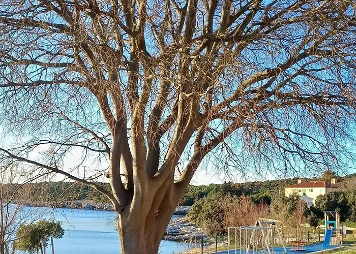 Ariademar Daire *